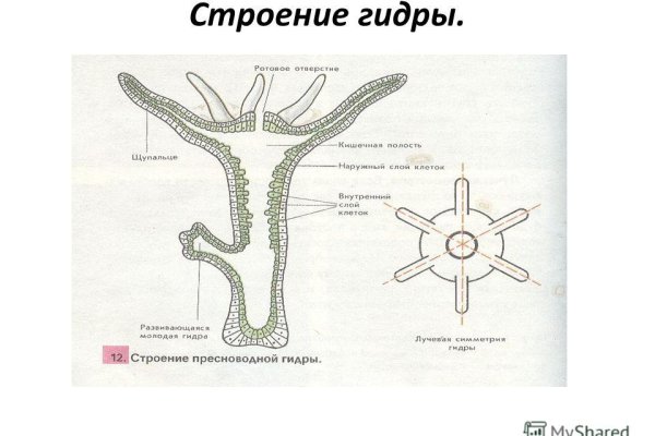 Рабочая ссылка кракен в тор